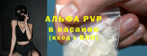 прущие грибы Заволжск