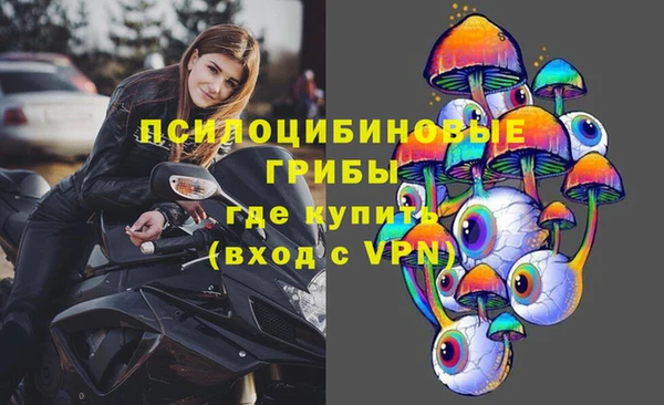 прущие грибы Заволжск