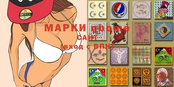 прущие грибы Заволжье