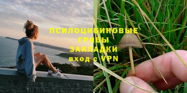 прущие грибы Заволжск