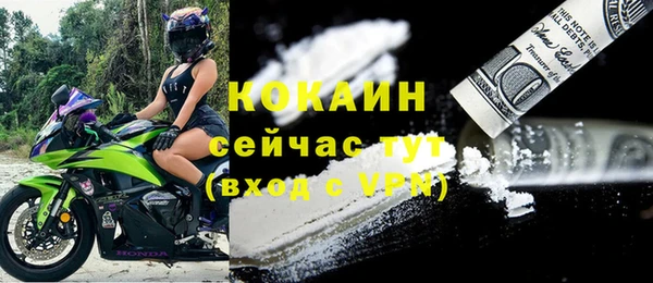 прущие грибы Заволжск