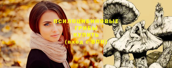 эйфоретик Заводоуковск