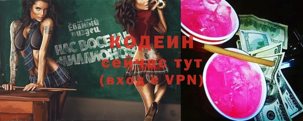 прущие грибы Заволжск