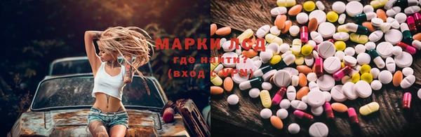 прущие грибы Заволжье