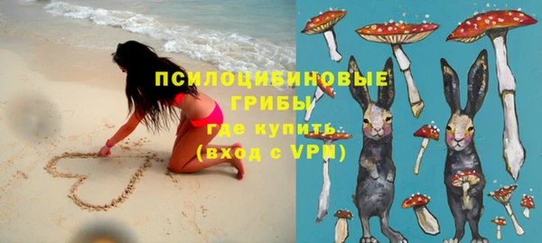 прущие грибы Заволжье