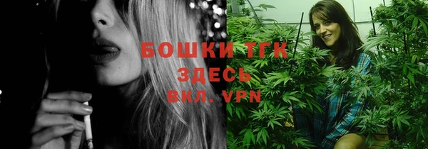 прущие грибы Заволжск