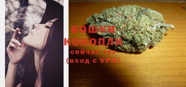прущие грибы Заволжье