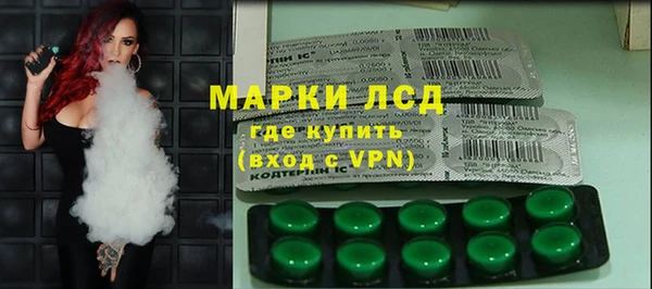 прущие грибы Заволжье
